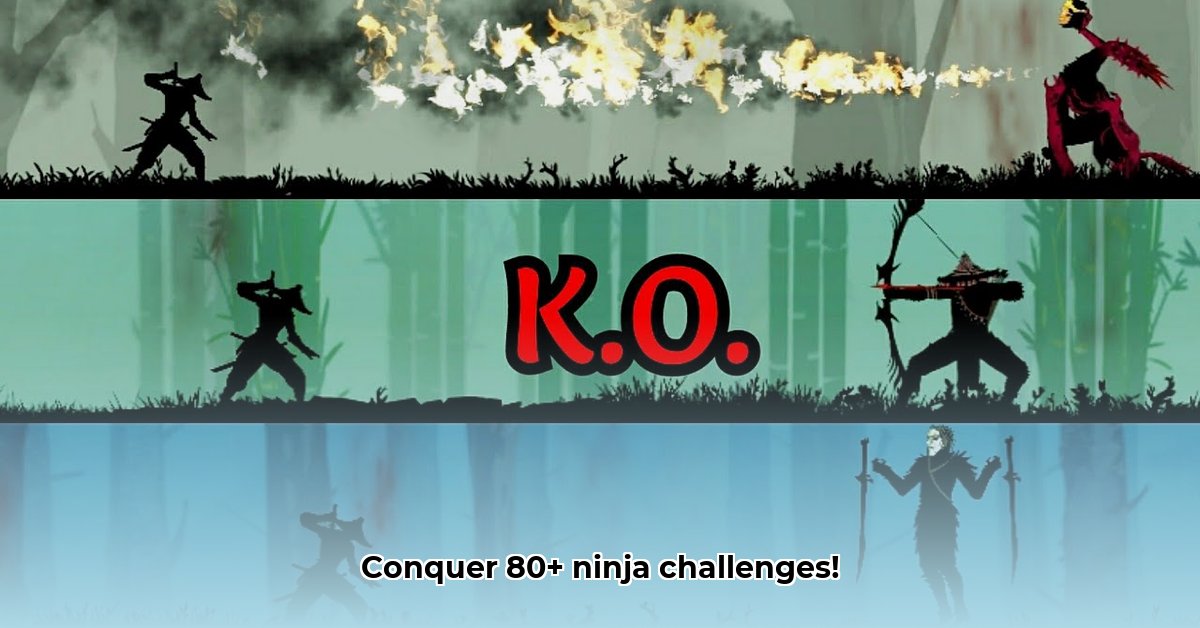 ninja-arashi-2-game